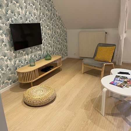 Family Loft A 5Minutes Du Zooparc De Beauval Villa Châteauvieux Kültér fotó